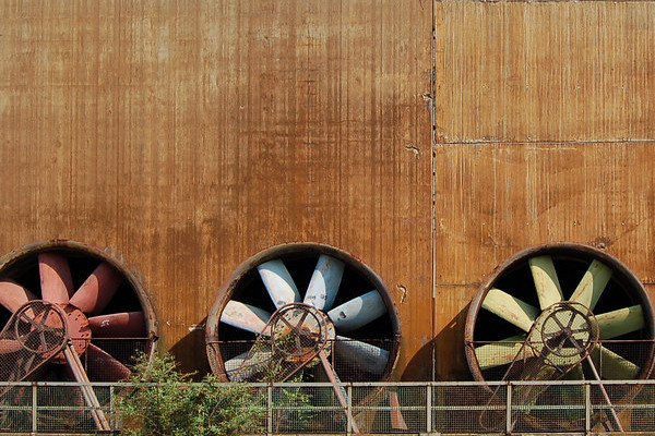 Zauberer Münster buchen